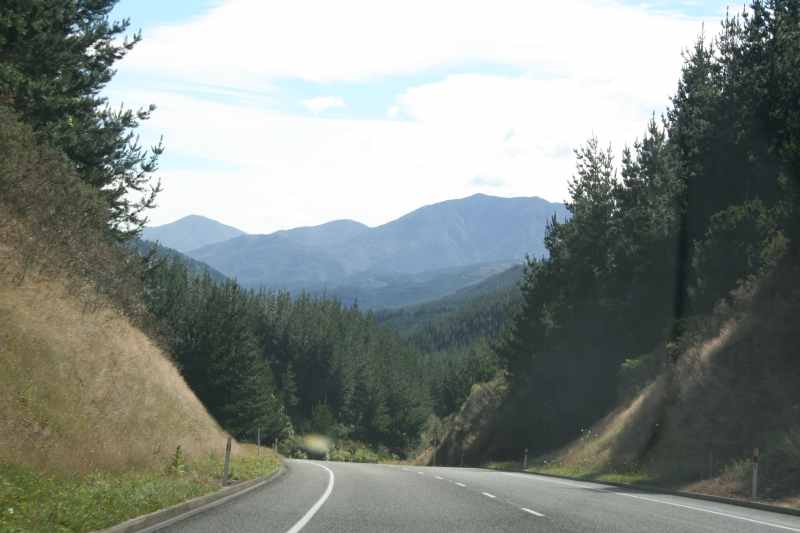 Nieuw-Zeeland 2011 - 1063